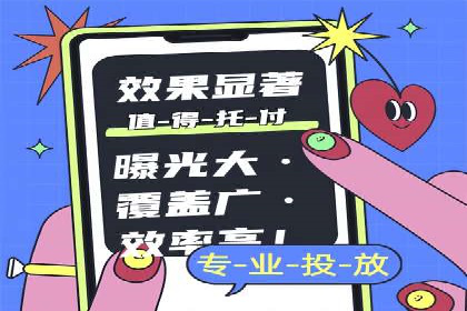 网络推广与竞价广告：双管齐下的策略案例